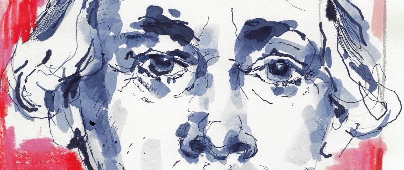 Kompaktworkshop Portraits – einfach, schnell und locker