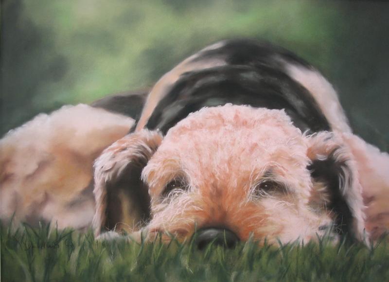 Tiere - Vom Foto zum Bild, realistisch oder übersetzt